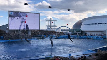 名古屋港水族館に投稿された画像（2023/1/8）