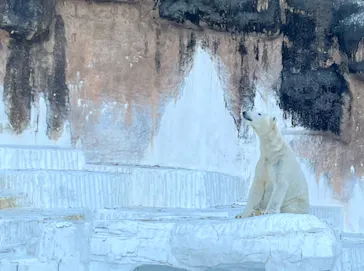 天王寺動物園に投稿された画像（2023/1/8）
