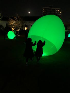 福山城400年博-FUKUYAMA CASTLE EXPO 2022- RCC開局70年 「チームラボ 福山城 光の祭」に投稿された画像（2023/1/8）