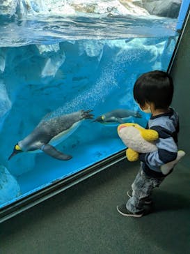 鴨川シーワールドに投稿された画像（2023/1/8）