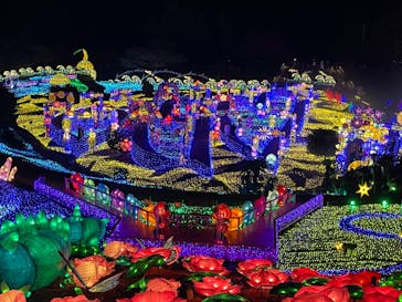 伊豆ぐらんぱる公園に投稿された画像（2023/1/8）