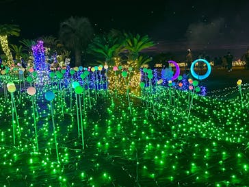 伊豆ぐらんぱる公園に投稿された画像（2023/1/8）