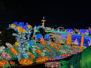 伊豆ぐらんぱる公園に投稿された画像（2023/1/8）