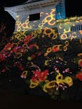 福山城400年博-FUKUYAMA CASTLE EXPO 2022- RCC開局70年 「チームラボ 福山城 光の祭」に投稿された画像（2023/1/8）