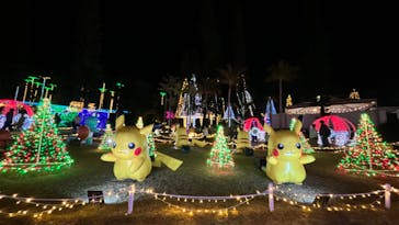 美らヤシパークオキナワ・東南植物楽園に投稿された画像（2023/1/8）