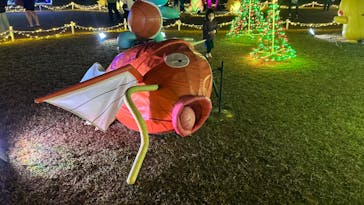 美らヤシパークオキナワ・東南植物楽園に投稿された画像（2023/1/8）