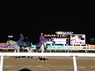 東京メガイルミに投稿された画像（2023/1/8）