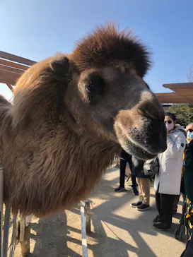 神戸どうぶつ王国に投稿された画像（2023/1/8）