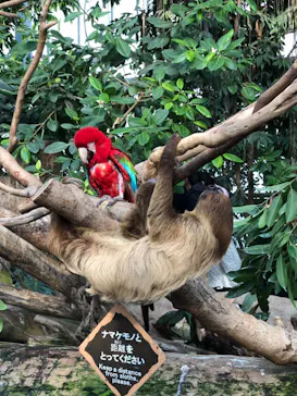 神戸どうぶつ王国に投稿された画像（2023/1/8）