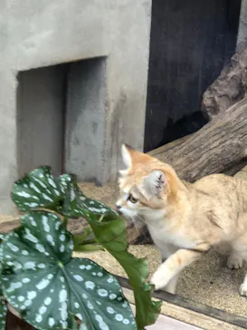 神戸どうぶつ王国に投稿された画像（2023/1/8）