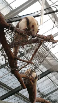 神戸どうぶつ王国に投稿された画像（2023/1/8）