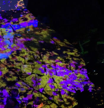 福山城400年博-FUKUYAMA CASTLE EXPO 2022- RCC開局70年 「チームラボ 福山城 光の祭」に投稿された画像（2023/1/8）