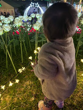 美らヤシパークオキナワ・東南植物楽園に投稿された画像（2023/1/8）