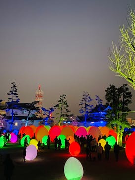福山城400年博-FUKUYAMA CASTLE EXPO 2022- RCC開局70年 「チームラボ 福山城 光の祭」に投稿された画像（2023/1/8）