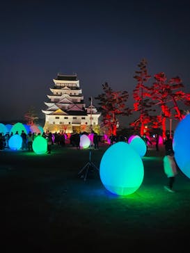 福山城400年博-FUKUYAMA CASTLE EXPO 2022- RCC開局70年 「チームラボ 福山城 光の祭」に投稿された画像（2023/1/8）