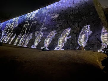 福山城400年博-FUKUYAMA CASTLE EXPO 2022- RCC開局70年 「チームラボ 福山城 光の祭」に投稿された画像（2023/1/8）