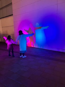 東京メガイルミに投稿された画像（2023/1/8）