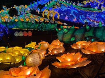 伊豆ぐらんぱる公園に投稿された画像（2023/1/8）