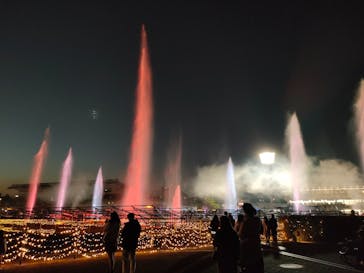 東京メガイルミに投稿された画像（2023/1/8）