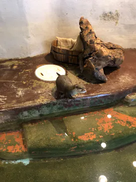 ひらかたパークに投稿された画像（2023/1/8）