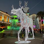 フェスタ・ルーチェに投稿された画像（2023/1/8）