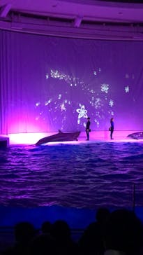 アクアワールド茨城県大洗水族館に投稿された画像（2023/1/8）