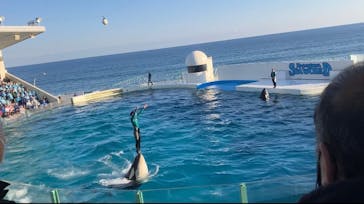 鴨川シーワールドに投稿された画像（2023/1/8）