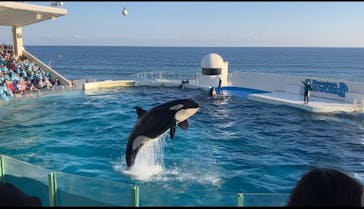 鴨川シーワールドに投稿された画像（2023/1/8）