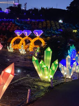 伊豆ぐらんぱる公園に投稿された画像（2023/1/8）