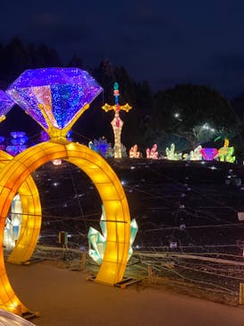 伊豆ぐらんぱる公園に投稿された画像（2023/1/8）