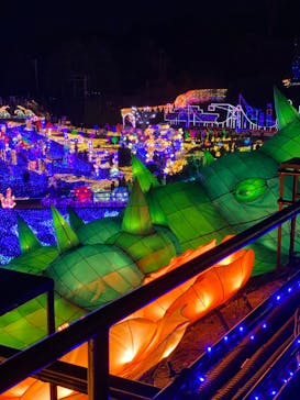 伊豆ぐらんぱる公園に投稿された画像（2023/1/8）