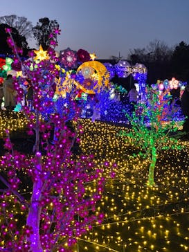 伊豆ぐらんぱる公園に投稿された画像（2023/1/8）