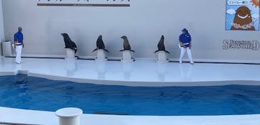 鴨川シーワールドに投稿された画像（2023/1/8）