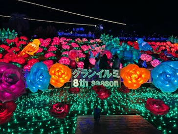 伊豆ぐらんぱる公園に投稿された画像（2023/1/8）