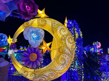 伊豆ぐらんぱる公園に投稿された画像（2023/1/8）