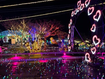 伊豆ぐらんぱる公園に投稿された画像（2023/1/8）