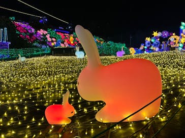 伊豆ぐらんぱる公園に投稿された画像（2023/1/8）