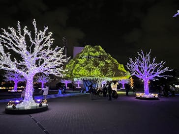 東京メガイルミに投稿された画像（2023/1/8）