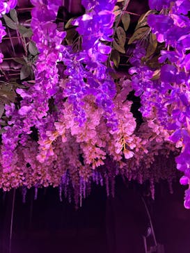 東京メガイルミに投稿された画像（2023/1/8）