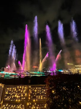 東京メガイルミに投稿された画像（2023/1/8）