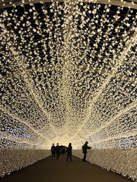 東京メガイルミに投稿された画像（2023/1/8）