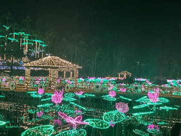 美らヤシパークオキナワ・東南植物楽園に投稿された画像（2023/1/8）