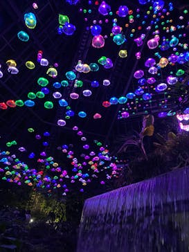 大阪府立花の文化園に投稿された画像（2023/1/8）