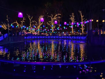 大阪府立花の文化園に投稿された画像（2023/1/8）