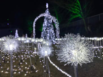 大阪府立花の文化園に投稿された画像（2023/1/8）