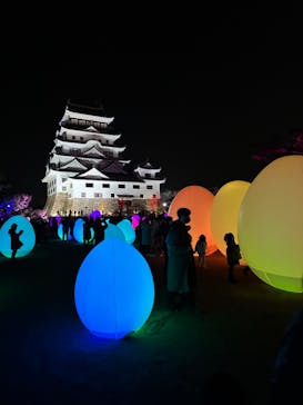 福山城400年博-FUKUYAMA CASTLE EXPO 2022- RCC開局70年 「チームラボ 福山城 光の祭」に投稿された画像（2023/1/8）