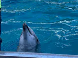 名古屋港水族館に投稿された画像（2023/1/9）