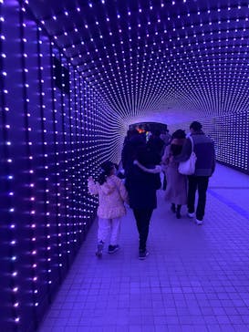 東京メガイルミに投稿された画像（2023/1/8）