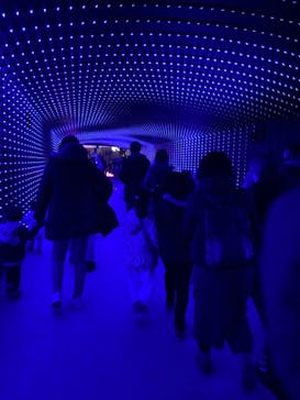 東京メガイルミに投稿された画像（2023/1/8）