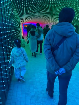 東京メガイルミに投稿された画像（2023/1/8）